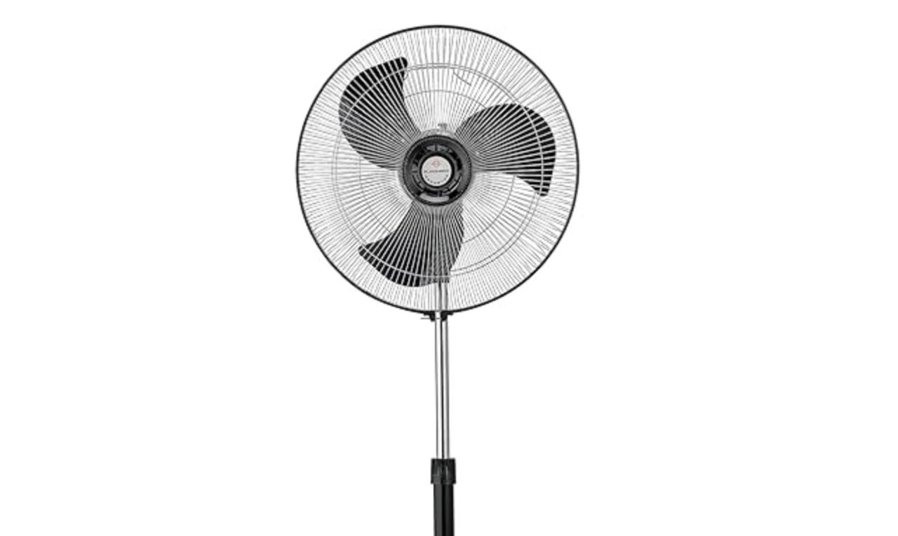 Fans
